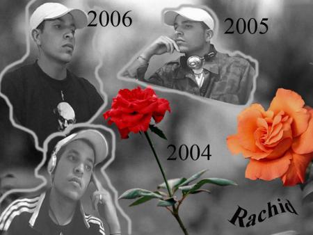 2004/2005/2006