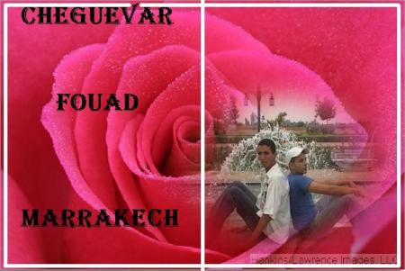 cheguevra+fouad